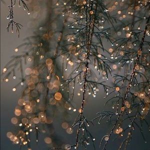 Meet your Posher, Madalyn